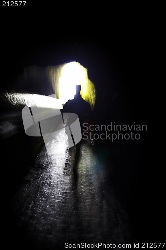 Image of into to the light