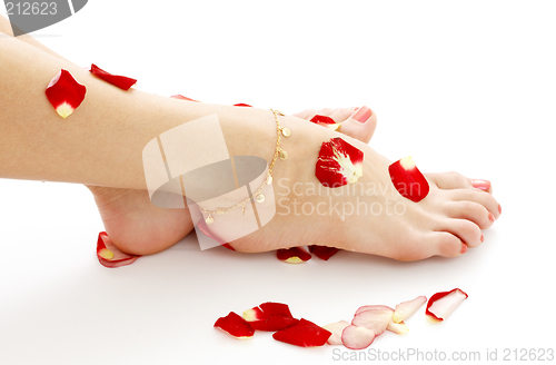 Image of feet with petals in spa