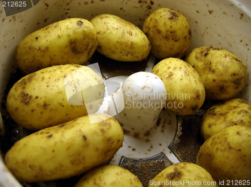 Image of Potatoes, Peeling machine