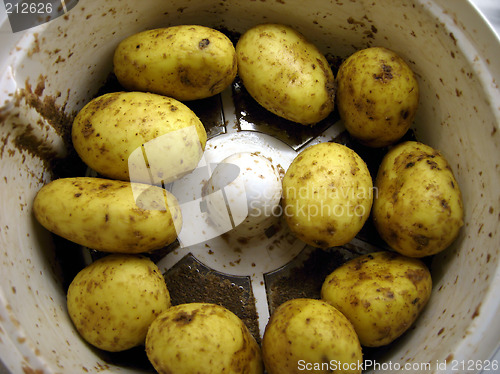 Image of Potatoes, Peeling machine
