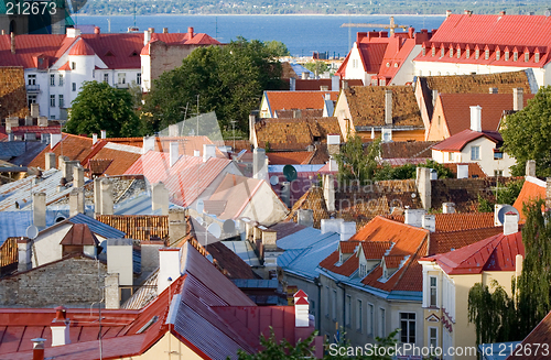 Image of roofs of tallinn