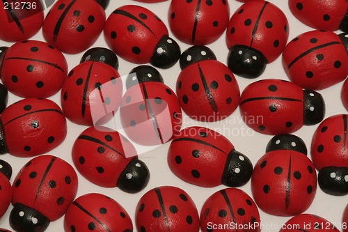 Image of Ladybugs