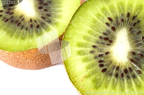 Image of Kiwi close_up