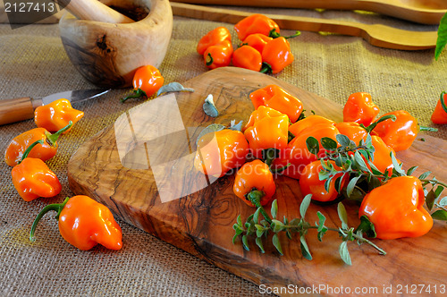 Image of Chili Peppers