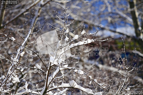 Image of snowy landscape, winter in Russia