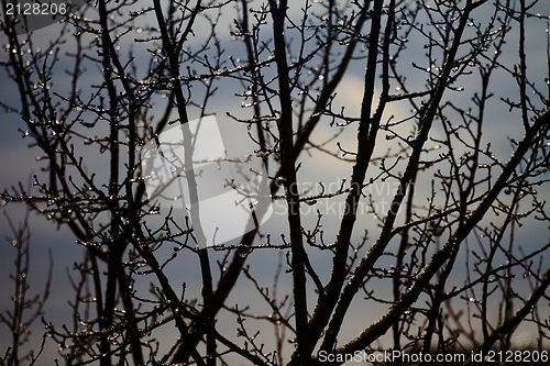 Image of snowy landscape, winter in Russia