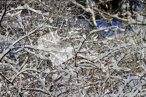 Image of snowy landscape, winter in Russia