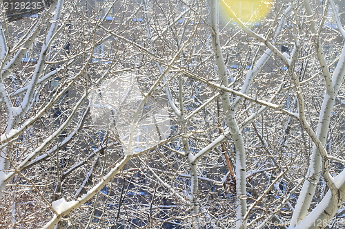 Image of snowy landscape, winter in Russia