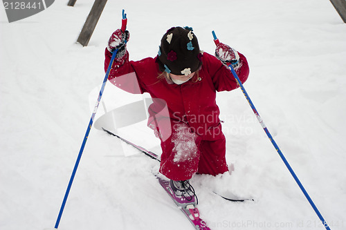 Image of Cross Country Skiing