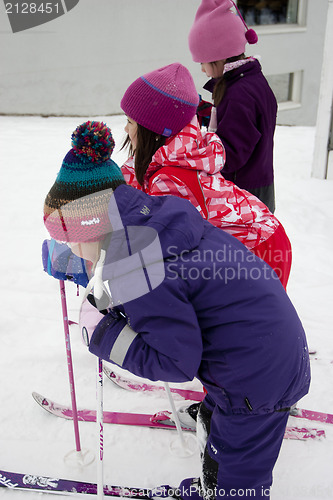 Image of Cross Country Skiing