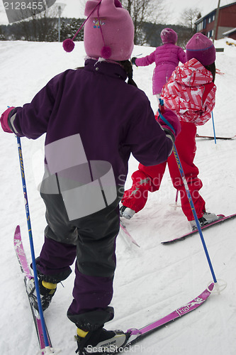 Image of Cross Country Skiing