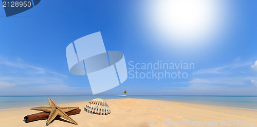 Image of sea and coconut palm on desert island