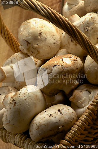 Image of Basket of Champignons