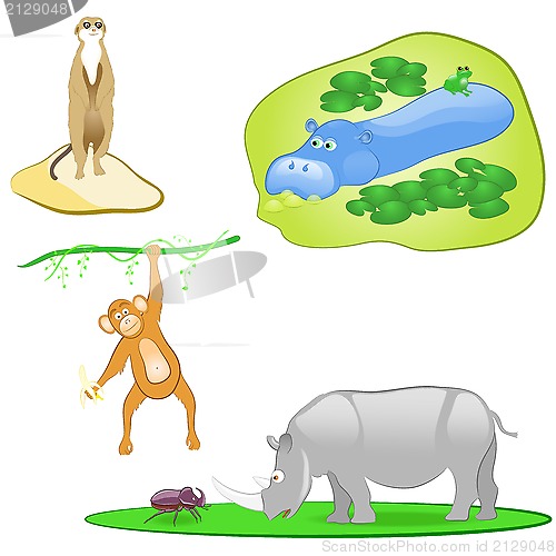 Image of illustration of isolated wild animals set on white background