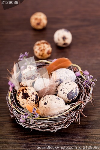 Image of easter decoration with quail eggs on wood