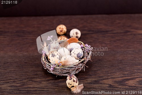 Image of easter decoration with quail eggs on wood