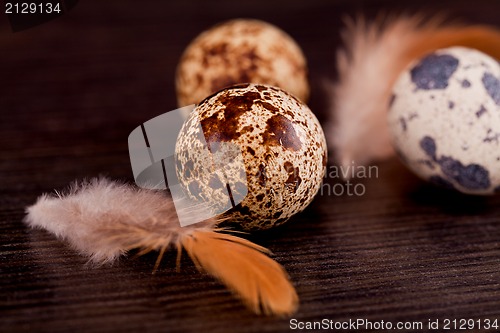 Image of easter decoration with quail eggs on wood