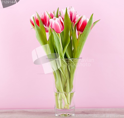 Image of pink and white tulips present ribbon easter birthday