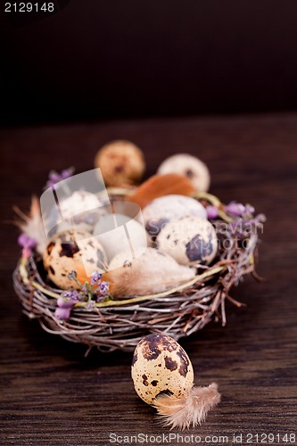 Image of easter decoration with quail eggs on wood