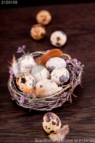 Image of easter decoration with quail eggs on wood