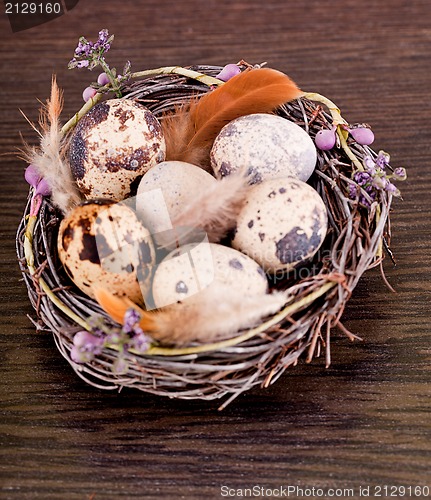 Image of easter decoration with quail eggs on wood