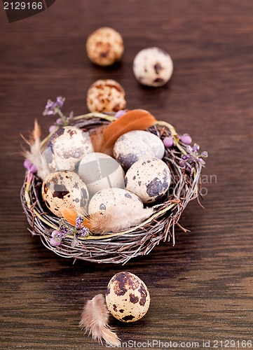 Image of easter decoration with quail eggs on wood