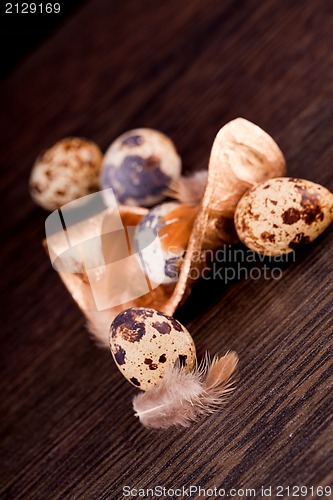 Image of easter decoration with quail eggs on wood