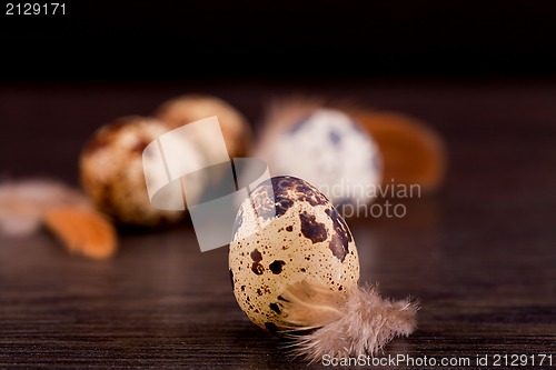 Image of easter decoration with quail eggs on wood