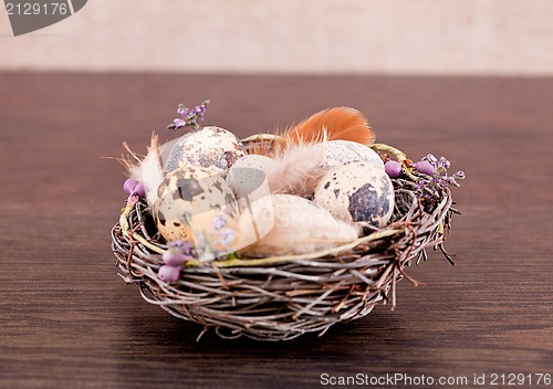 Image of easter decoration with quail eggs on wood