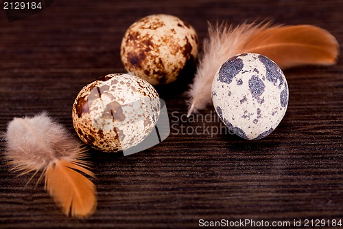 Image of easter decoration with quail eggs on wood