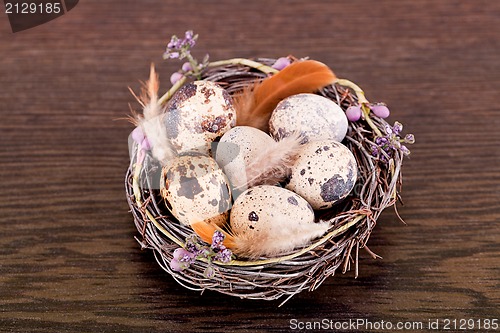 Image of easter decoration with quail eggs on wood