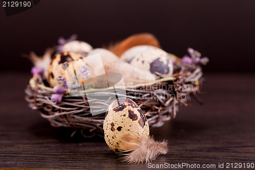 Image of easter decoration with quail eggs on wood