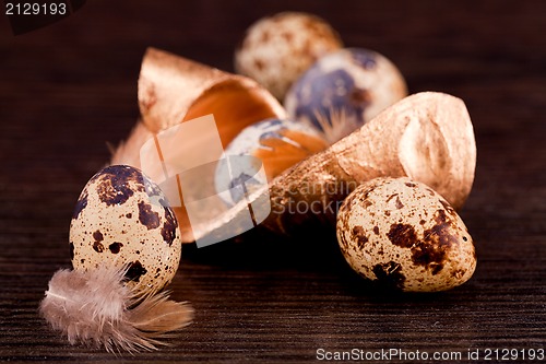 Image of easter decoration with quail eggs on wood