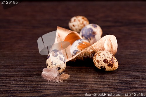 Image of easter decoration with quail eggs on wood