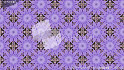 Image of Purple Flowers