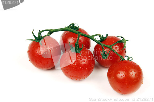 Image of Red tomatoes