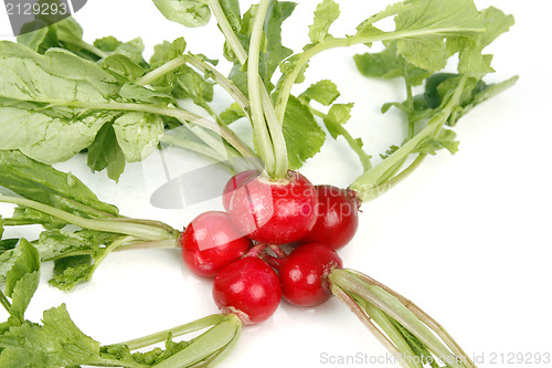 Image of Radishes 