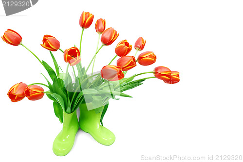 Image of Fresh tulips in green boots 
