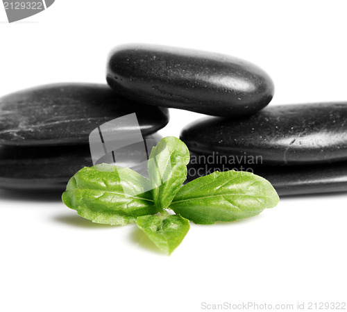 Image of Black stones and leafs 