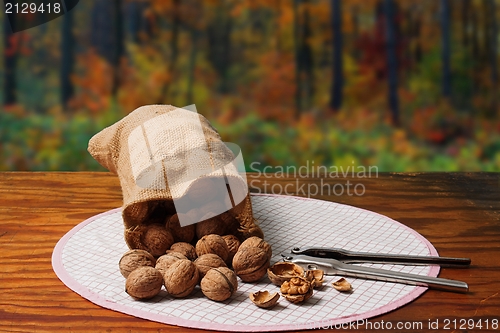 Image of Nutcracker and Nuts