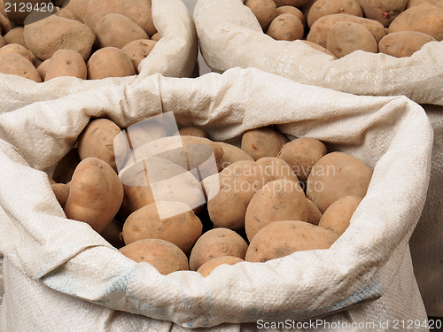 Image of Potatoes