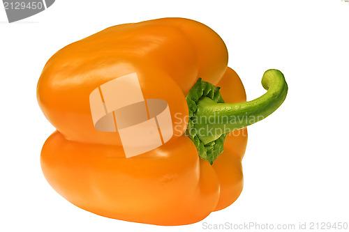 Image of pepper