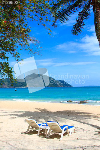 Image of sea and coconut palm