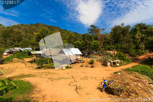 Image of Thai jungle in Phuket 