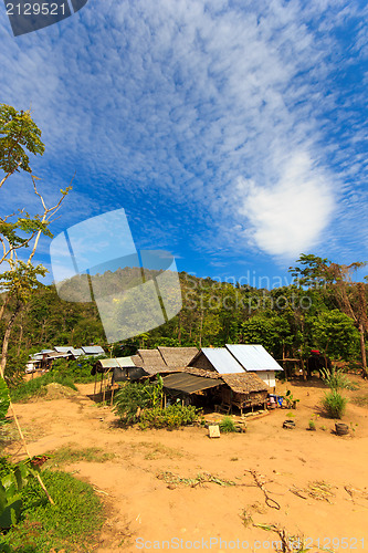Image of Thai jungle in Phuket 