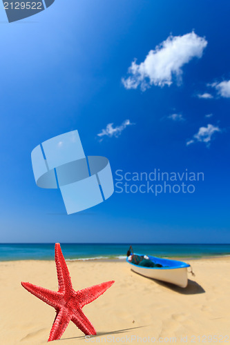 Image of Starfish on the beach