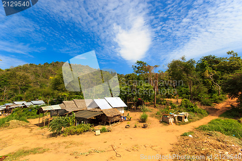 Image of Thai jungle in Phuket 