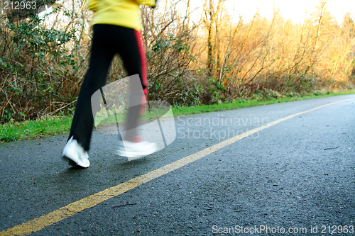 Image of Afternoon run