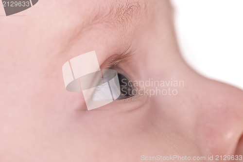 Image of looking upwards