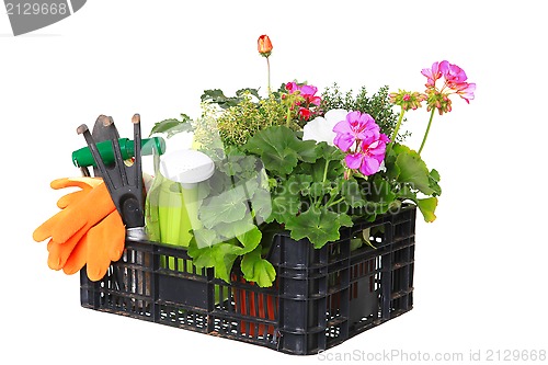 Image of set garden flowers with tools isolated on white background 